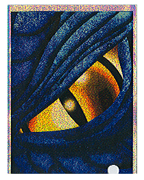 MAX Protection Deck Protectors - Dragon Caller