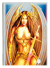 MAX Protection Deck Protectors - Eva