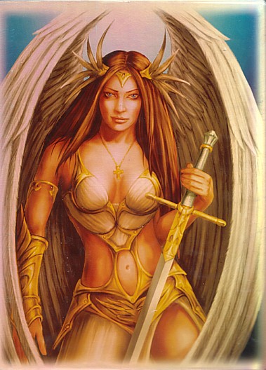 Max Protection A4 Portfolio, Eva / Medusa Design