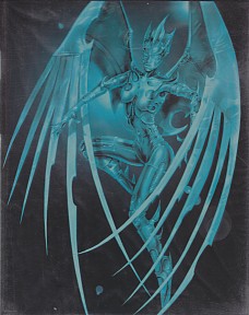 Max Protection A4 Portfolio, Cyber Angel Design