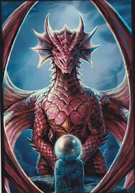 Max Protection A4 Portfolio, Oracle Dragon Design