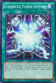Cybernetic Fusion Support (Common)