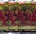 Crossroads of Chaos Booster Pack Trio