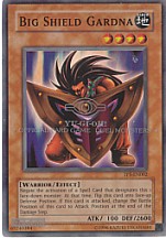 Big Shield Gardna