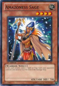 Amazoness Sage (Star Rare)