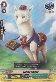 Eraser Alpaca (C)