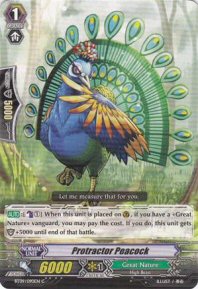 Protractor Peacock (C)