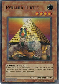 Pyramid Turtle