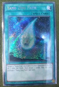 Yang Zing Path (Secret Rare)