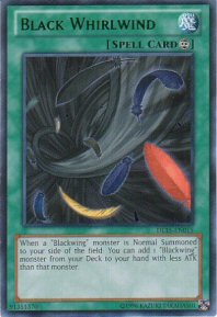 Black Whirlwind (Ultra Rare)