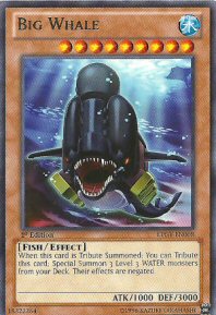 Big Whale (Rare)