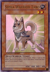 Shiba-Warrior Taro