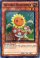 Naturia Sunflower (Super) (1st Ed)