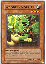 Woodland Sprite (Common)