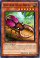 Naturia Stag Beetle
