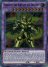 Timaeus the Knight of Destiny (Ultra Rare (Green))