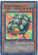 Gora Turtle