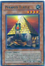 Pyramid Turtle