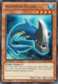 Hammer Shark (Rare)